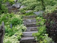 Steps Set Into the Hill