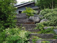 Steps Set Into the Hill