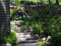 Stairs in a Natural Setting