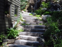 Stairs in a Natural Setting