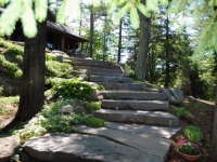Stairs in a Natural Setting