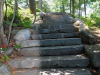 Mottled in The Sun and Shade