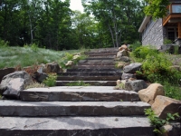 We Can Leave Space for Planting