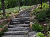 We Can Leave Space for Planting